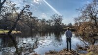 man gezien op de rug kijkt uit over vijver in een park